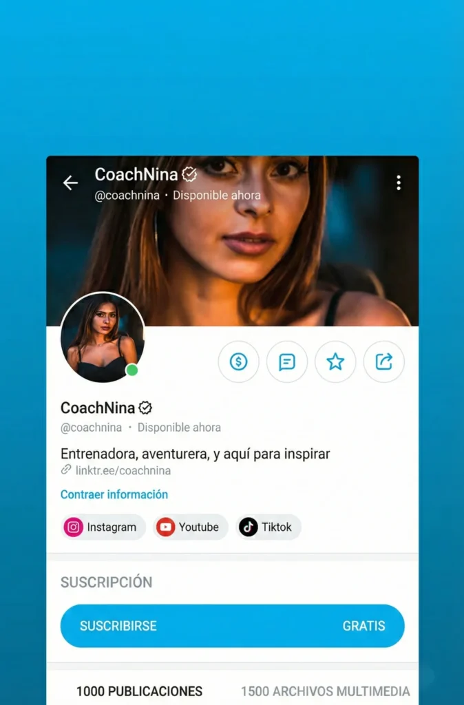 Imagen referencial de como se ve un perfil ordenado de onlyfans